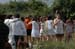 Carri2012_282