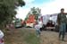 Carri2012_299