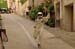 Carri2012_357