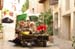 Carri2012_384