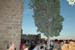 castell2011_7121