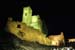 castell2011_7276