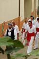 FIESTA2011_5931