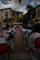 FIESTA2011_6354