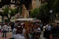 FIESTA2011_6363
