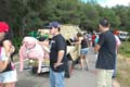 FIESTA2011_6684
