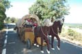 FIESTA2011_6839