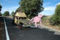FIESTA2011_6840