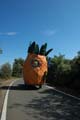 FIESTA2011_6845
