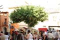 FIESTA2011_6918