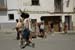 salvajes2011_2179