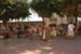 salvajes2011_2299