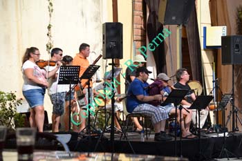 Salvaje2012_0006