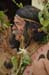 Salvaje2012_0074