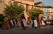 Salvaje2012_0433