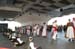 salvajesexpo2008_4716