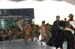 salvajesexpo2008_4755