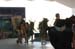 salvajesexpo2008_4757