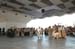 salvajesexpo2008_4780
