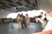 salvajesexpo2008_4804