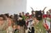 salvajesexpo2008_4824