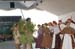 salvajesexpo2008_4925