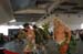 salvajesexpo2008_4985