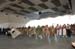 salvajesexpo2008_4988